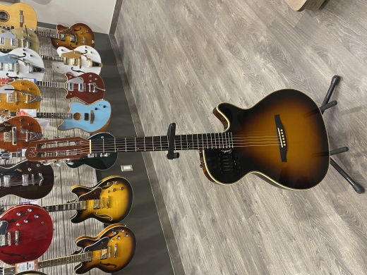 Store Special Product - Godin Multiac Duet Ambiance